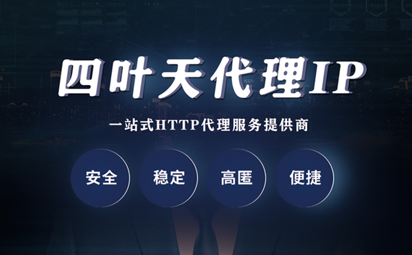 【迪庆代理IP】代理ip客户端使用教程