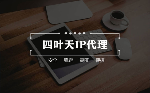 【迪庆代理IP】如何快速搭建代理IP？怎么检查代理的效果？