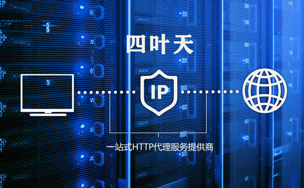 【迪庆代理IP】代理IP的主要用途和使用注意事项